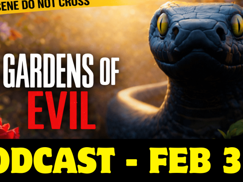 Inside the Zion Society: A Deep Dive into Cult&nbsp;Dynamics